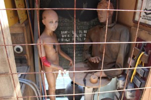 11652119_580022788804828_1696569572_n