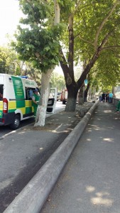 11652274_1141898975826091_1911357623_n