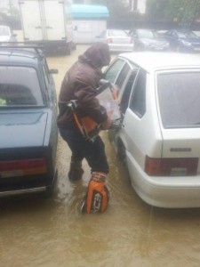 11655098_10204189534090184_1201022327_n