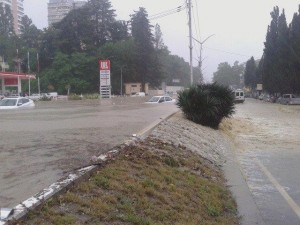 11655223_10204189534290189_1464018795_n