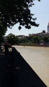 11655609_1141898892492766_1135480053_n