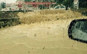 11657358_10204193943200409_652666140_n