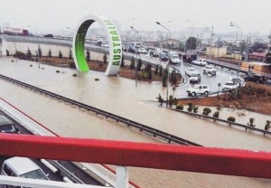 11657396_10204189531570121_621475947_n