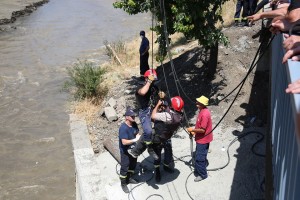 11665580_1119537428062856_5131297857393867337_n