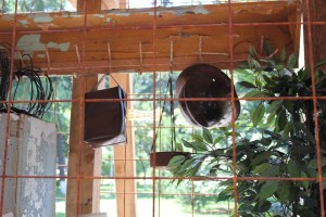 11692990_580022892138151_307497626_n