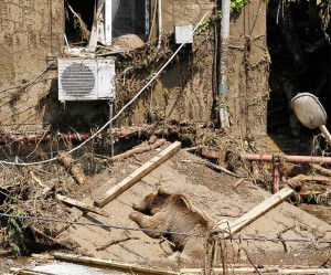 1499686_10204123805487010_4574248520982212118_n