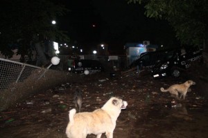 1615098_377588059114050_1149958179_n