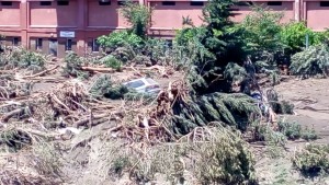 20413_1014453075239496_3609715307221443874_n