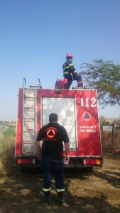 11027778_675187899249879_7410222068146304189_n - Copy - Copy