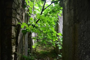 11124059_10204256542245346_1902100488_n