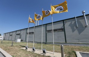 11143382_891002097657534_9126892519038109017_o