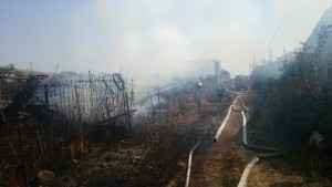 11167975_675187862583216_5102851560807477251_n - Copy - Copy