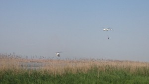 11206109_675187975916538_7075619552925965334_n - Copy - Copy