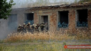 11228110_1024759490890126_8109177373291614102_n