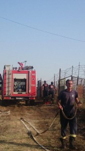 11249477_675187835916552_5810009651187272974_n - Copy - Copy