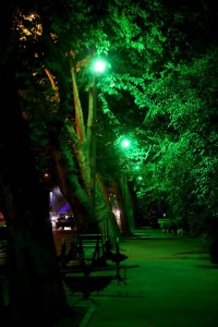 11403000_529950777159289_4173567887845791640_n