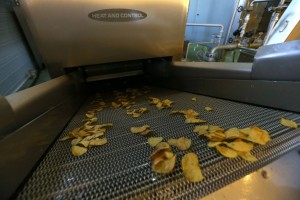 11411731_891002227657521_3502196172593816522_o