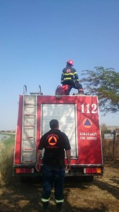 11665493_675188045916531_6355533539449552075_n - Copy - Copy