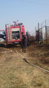 11665615_675187945916541_3041446854947792941_n - Copy