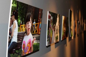 11666019_1419297771733942_2746977866479810838_n