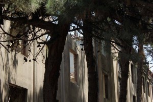 11692672_10153049921454779_2255893229531953509_n