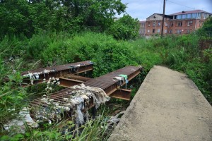 11692856_10204256542925363_2024794937_n