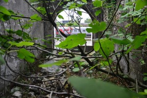 11694281_10204256542885362_163937679_n