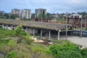 11694383_10204256542485352_1298779437_n