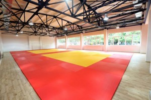 11694882_883758605048550_284917382342007687_n