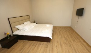 11695904_881748615249549_6088672539431607202_n