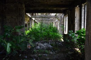 11696495_10204256543285372_826613848_n