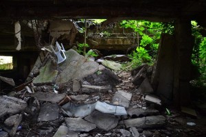 11696775_10204256543365374_333617735_n