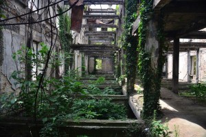 11696845_10204256543405375_861638116_n