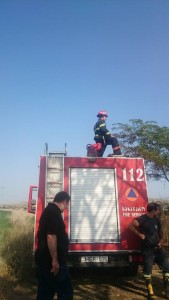 11702840_675187995916536_8088190830311489547_n