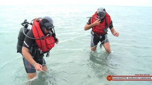 11703343_1028398063859602_114948920634203462_n