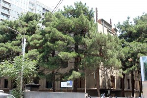 11705285_10153049921479779_1381129805954455237_n