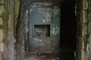 11720626_10204256542125343_598017937_n