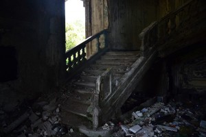 11721095_10204256542285347_1442568365_n