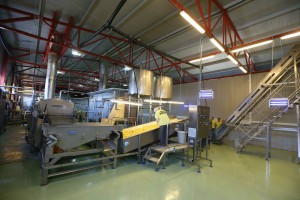 11731898_891002237657520_7382854023563155676_o