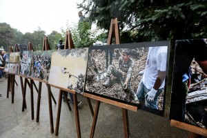 11745580_1853472941543569_7170317955538947582_n