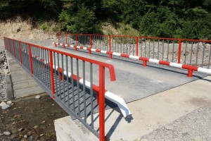 11749842_1025730104117641_279701385_n