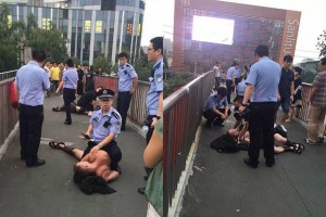 11753859_10204340010732006_1643777662_n