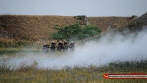 11760294_1024759460890129_1284971771345372593_n