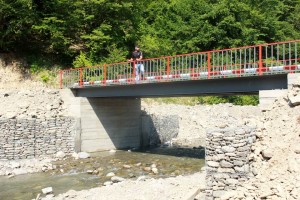 11774827_1025730120784306_2033810247_n