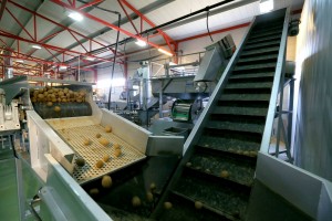 11780043_891002147657529_3693755237533968352_o