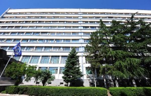 11793813_931513976892482_536451580_o