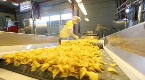 11794344_891002167657527_5230792310590823597_o