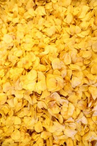 11825819_891002230990854_42283547600317734_n