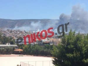 590_d782142c28780bda93a3b3301b8c7c4d