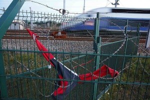 11126857_10204399039647692_2070969677_n